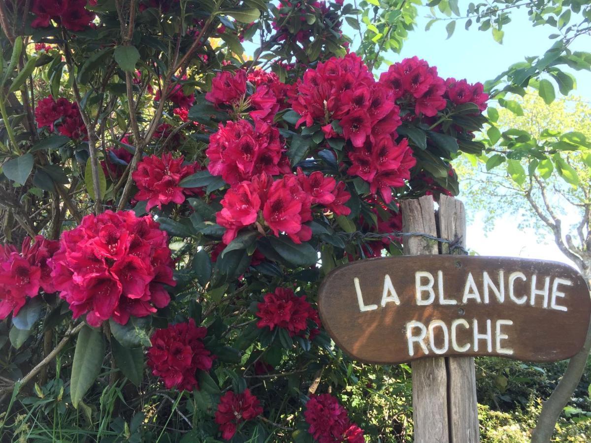 La Blanche Roche Bed and Breakfast Sourdeval Eksteriør billede